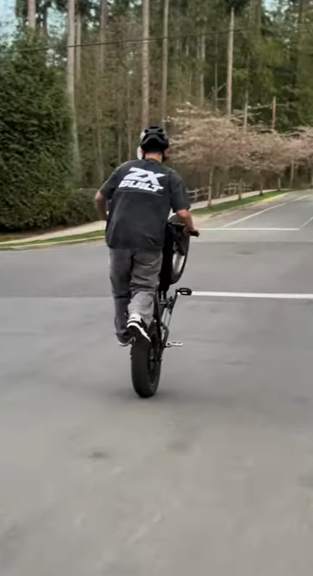 ZXBuilt shirt (preorder)